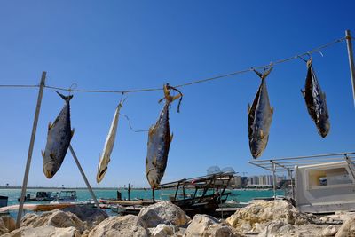Low angle view of clothes hanging against clear sky