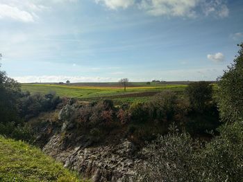 Scenic view of field against sky