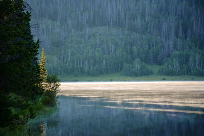 Scenic view of lake with trees in background