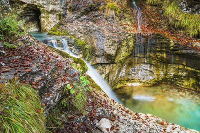 Stream flowing through rocks in forest