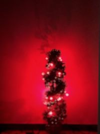 Illuminated christmas tree