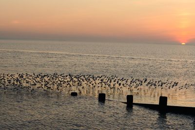 Scenic view of sea against sky during sunset