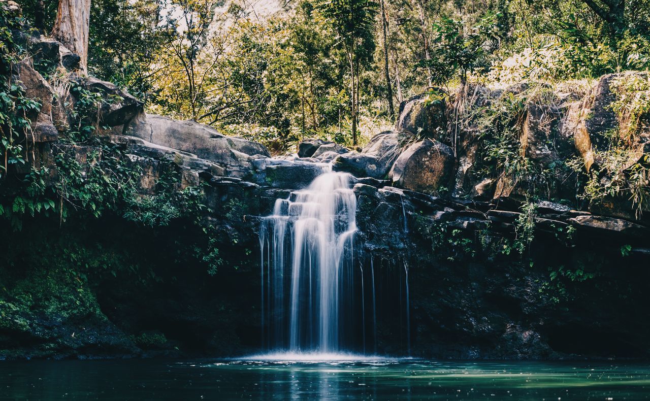 water, flowing water, tree, motion, waterfall, waterfront, flowing, fountain, long exposure, nature, splashing, beauty in nature, reflection, growth, forest, scenics, plant, day, tranquility, outdoors