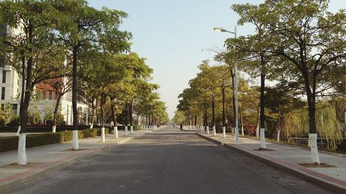 Road amidst trees in city against clear sky