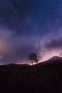 Tree growing on mountain against sky