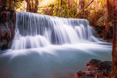 Scenic view of waterfall in forest