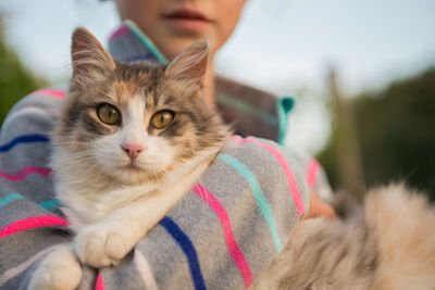 Close-up portrait of cat by person