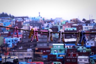 Close-up of clothespins hanging on rope against cityscape