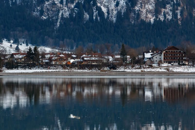 Scenic view of lake by houses and trees during winter