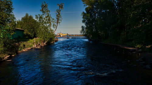 Scenic view of river in forest against sky