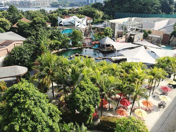 High angle view of trees by swimming pool against sky