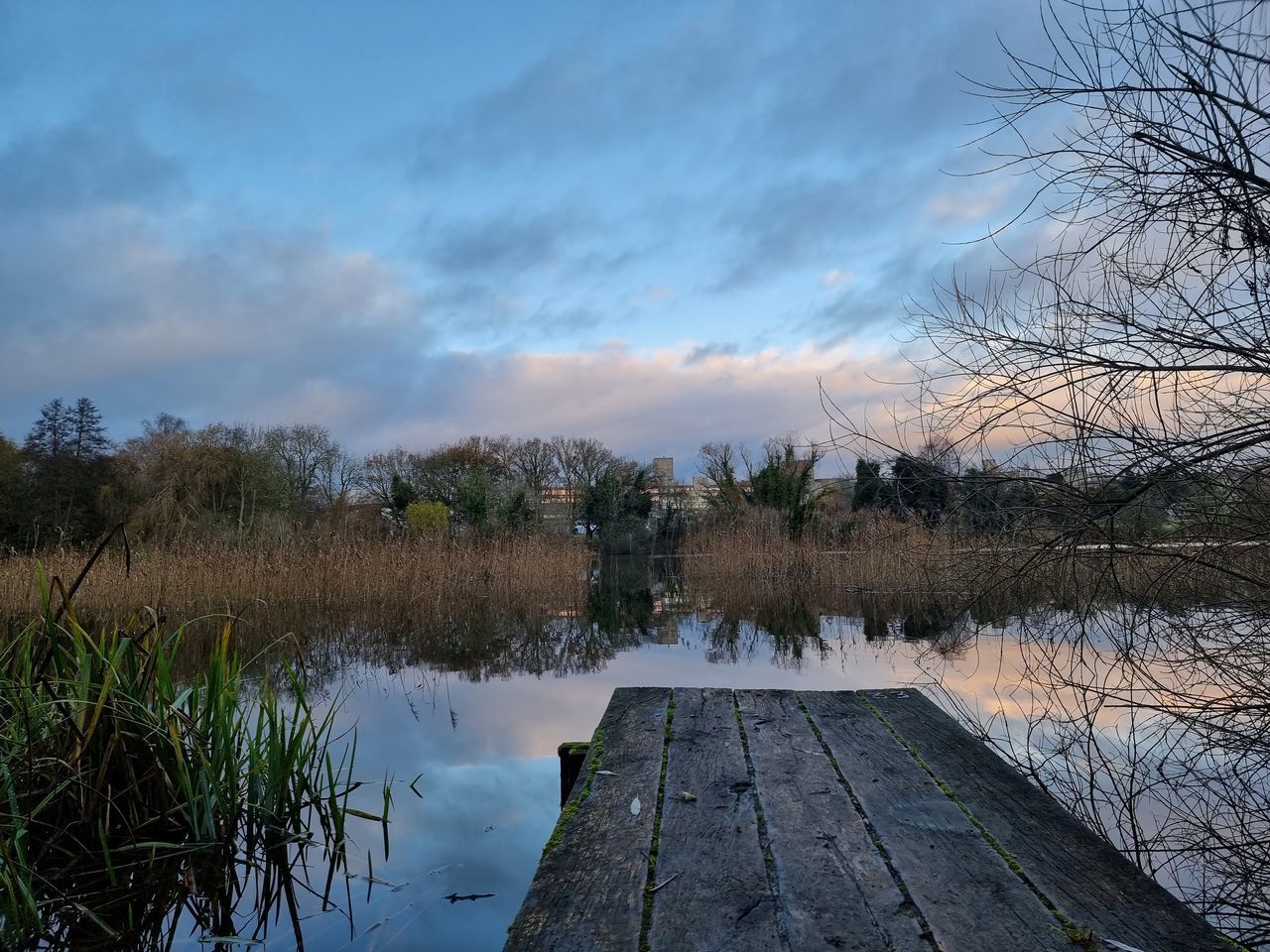 water, reflection, nature, sky, tree, plant, river, cloud, beauty in nature, morning, tranquility, wetland, environment, scenics - nature, no people, landscape, tranquil scene, wood, outdoors, wilderness, natural environment, waterway, non-urban scene, shore, marsh, reservoir, autumn, grass, winter, travel destinations, reed, architecture, land, rural area, pond, pier, tourism