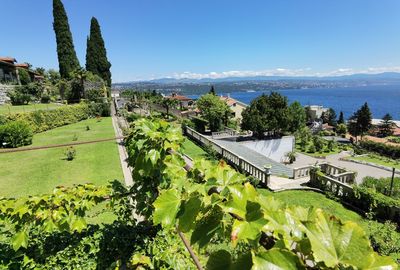 High angle view of plants by sea against sky