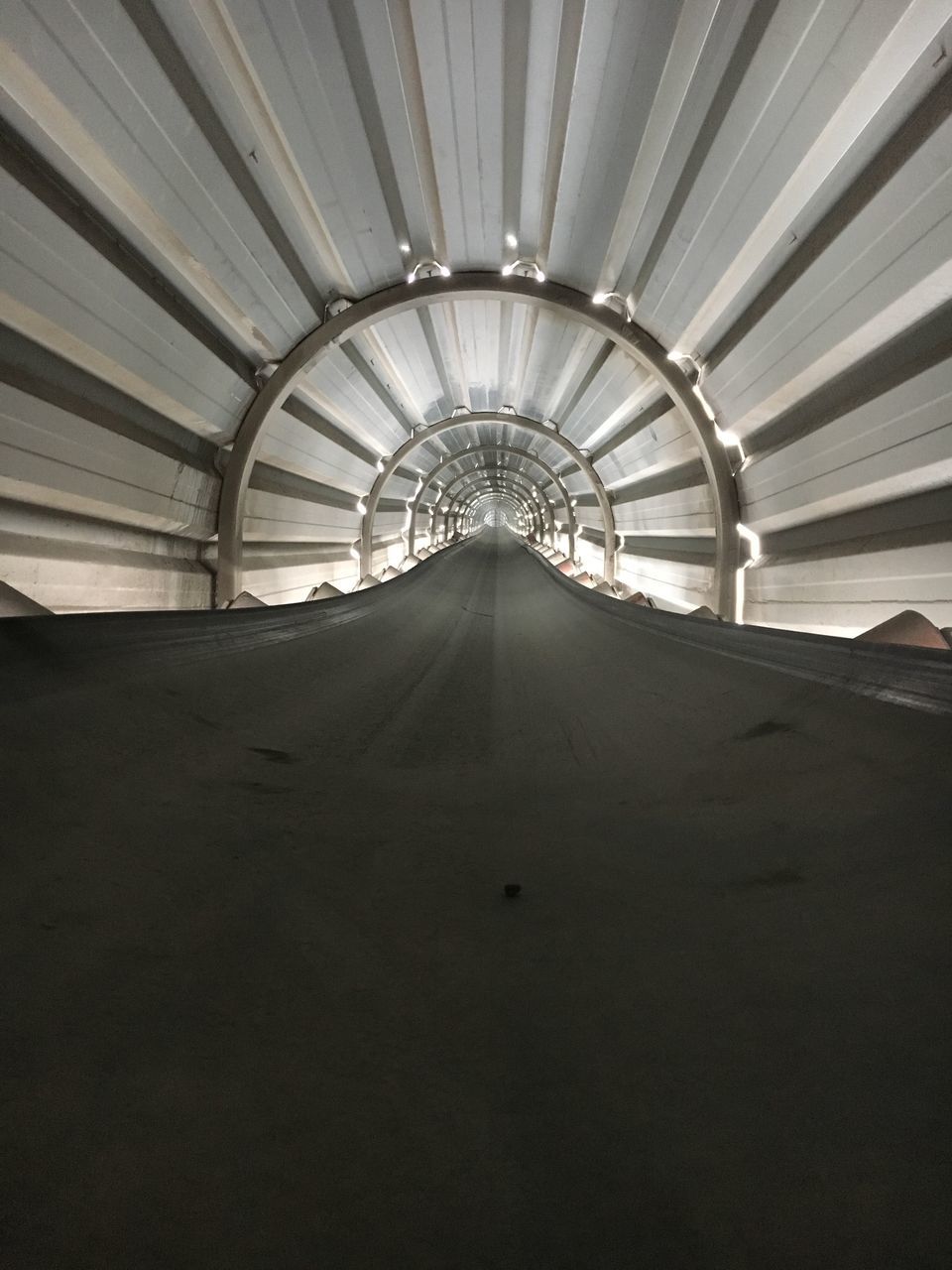 VIEW OF GREENHOUSE IN TUNNEL