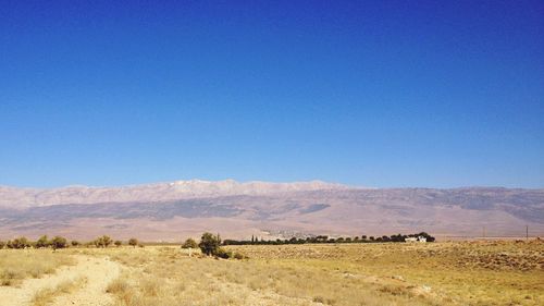 Scenic view of field against clear blue sky