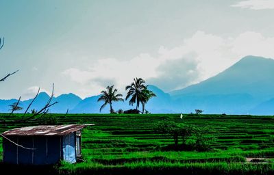 Scenic view of field against cloudy sky