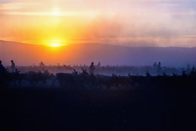 sunset