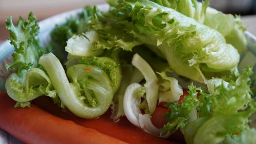 Close-up of chopped fruit salad in plate