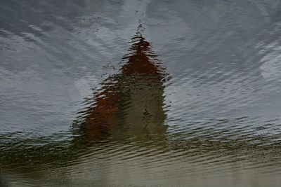 Reflection of trees in water