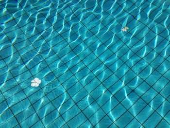 Full frame shot of swimming pool