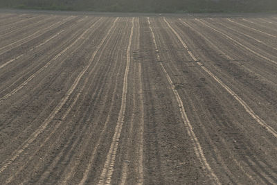 Full frame shot of agricultural field