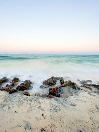 Waves crashing on corral reef rock at high tide during sunset. pastels colors and turquoise waters 