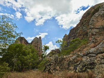 Trees on mountain against sky