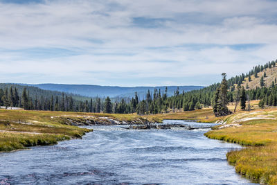 Scenic view of river amidst trees against sky