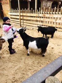 Low angle view of girl on women