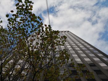 Low angle view of tree and building against sky