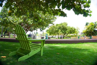 Empty bench in park