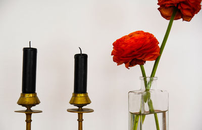 Close-up of red rose against white background