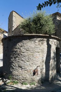 Shadow of tree on wall of building