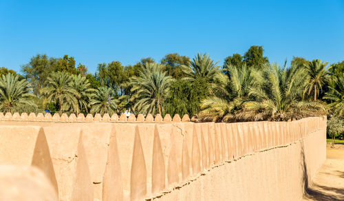 Palm trees against clear blue sky