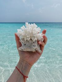 Midsection of person holding flower on sea against sky