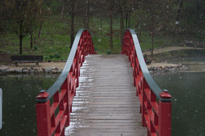 Wooden footbridge amidst trees in forest