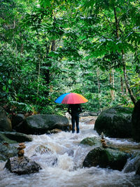 Rear view of man with umbrella walking on rock