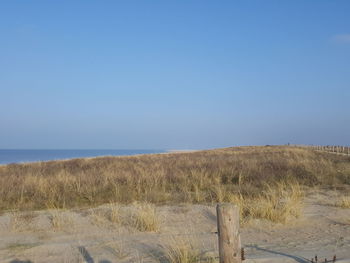 Scenic view of beach against clear sky