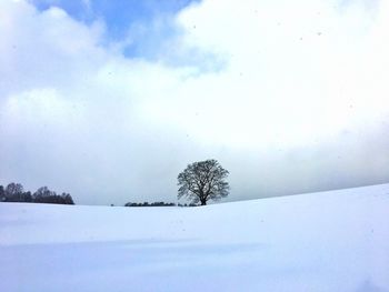 Trees on snow covered field against sky