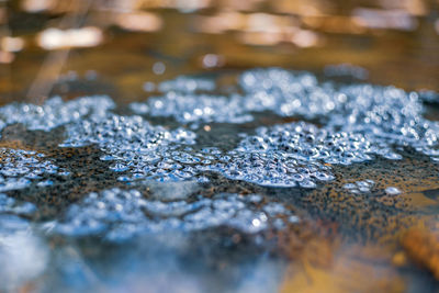 Close-up of snow on water surface