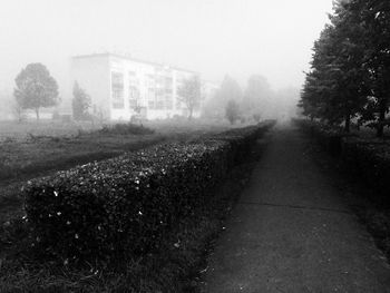 Road passing through foggy weather