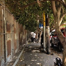 Rear view of woman walking on footpath