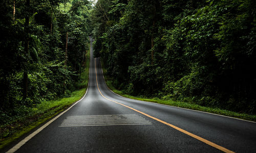 Road amidst trees in forest