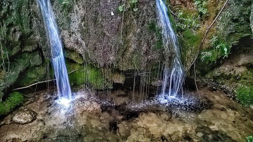 Scenic view of waterfall in forest