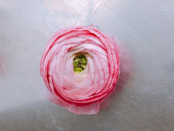 High angle view of pink bread on table