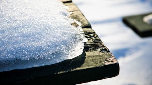 Close-up of frozen wood