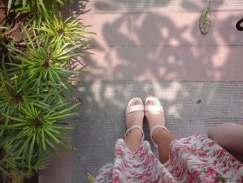 Low section of woman standing by plants