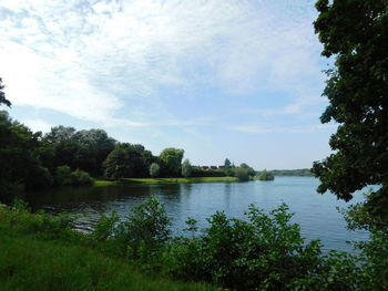 Scenic view of lake in forest against sky