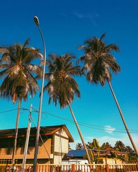 Low angle view of coconut palm trees against blue sky