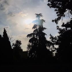 Low angle view of silhouette trees against sky during sunset